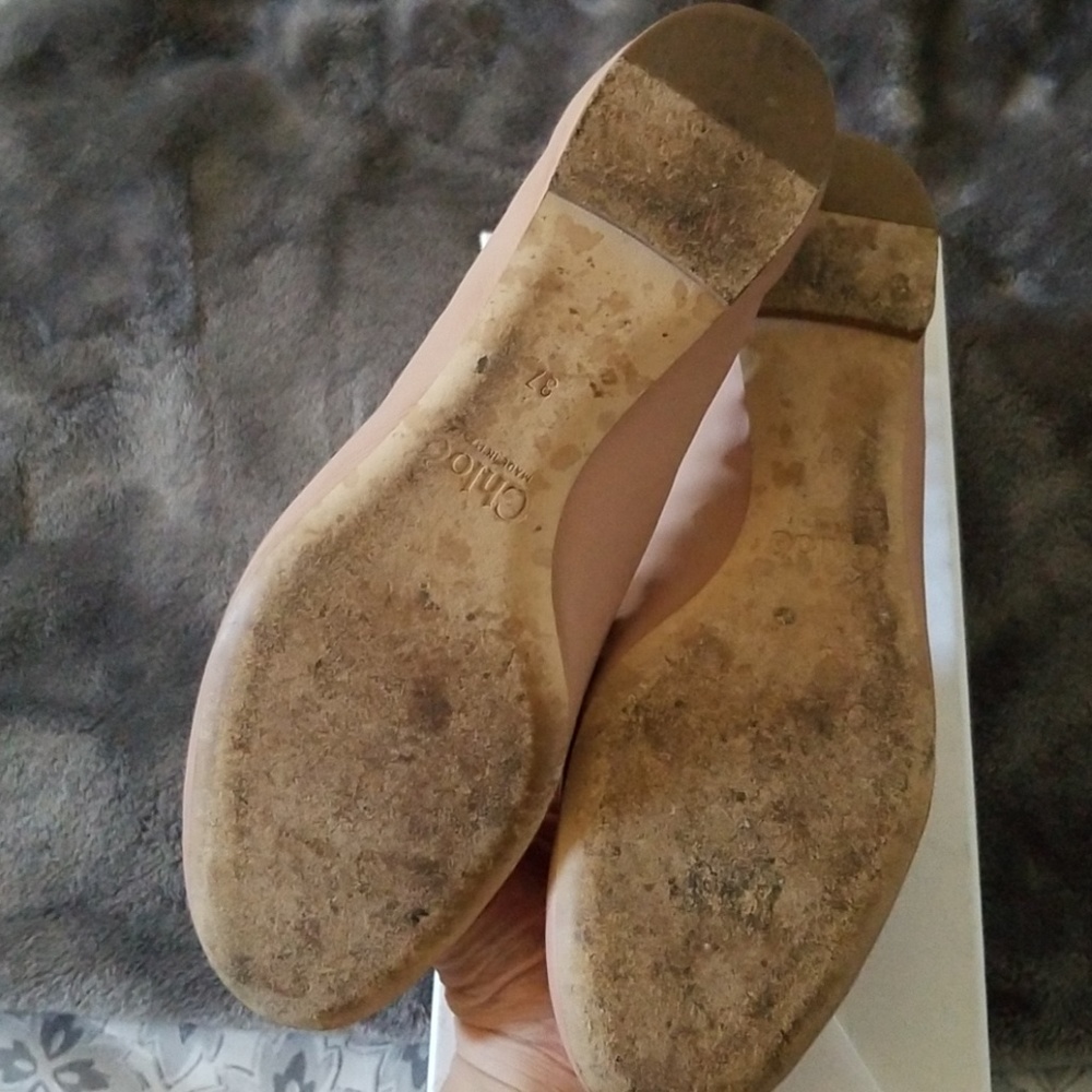 Chloe Scallop flats - Picture 4 of 6